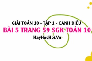 Giải bài 5 trang 59 Toán 10 Tập 1 SGK Cánh Diều